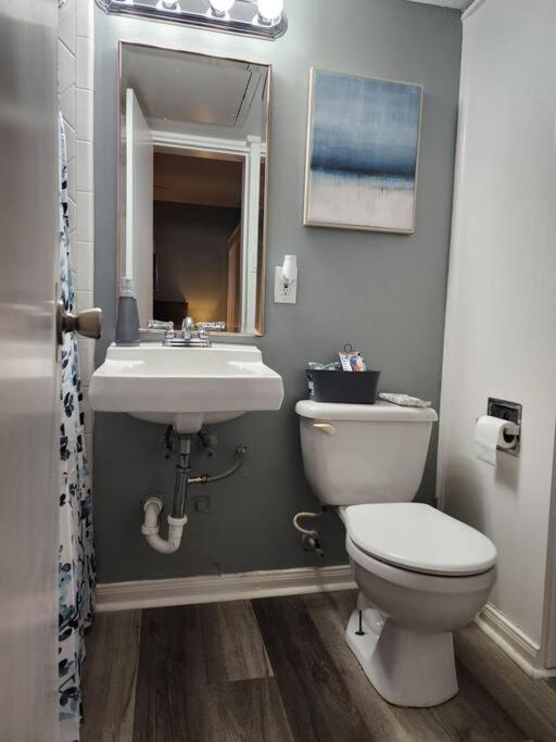 Blue Shark *W7* @ Montrose 1Br Private King Loft Daire Houston Dış mekan fotoğraf