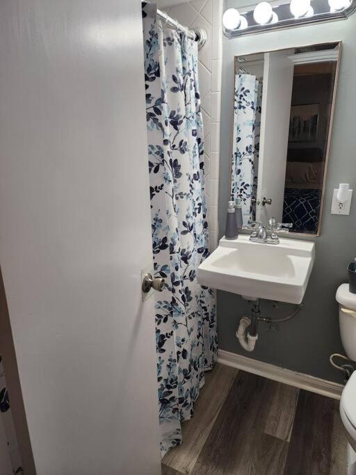 Blue Shark *W7* @ Montrose 1Br Private King Loft Daire Houston Dış mekan fotoğraf